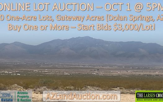 Dolan Springs Arizona horse real estate listing photo 1