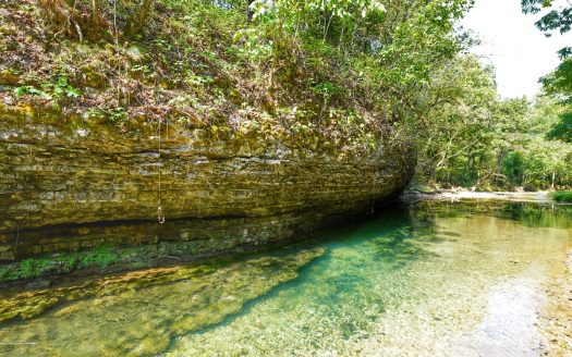 Gentry Arkansas horse real estate listing photo 1