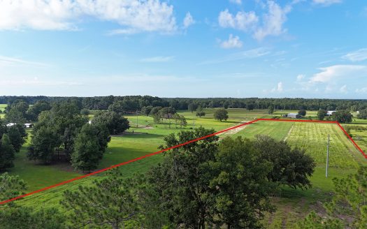 Lake City Florida horse real estate listing photo 1