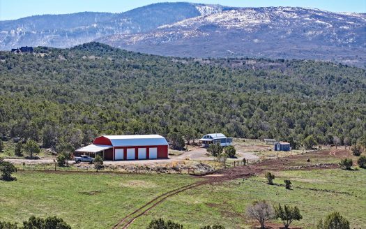 Collbran Colorado horse real estate listing photo 1