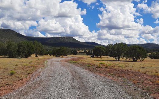 Seligman Arizona horse real estate listing photo 1