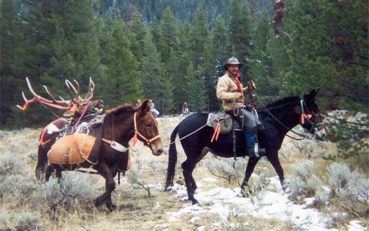 Granby Colorado horse real estate listing photo 1