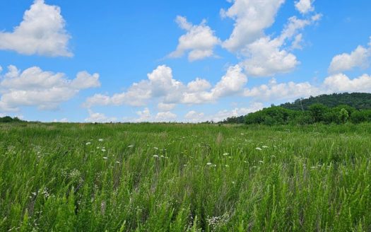 Dora Missouri horse real estate listing photo 1