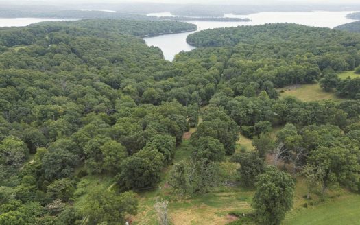 Theodosia Missouri horse real estate listing photo 1