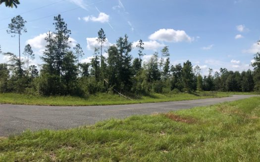 Live Oak Florida horse real estate listing photo 1