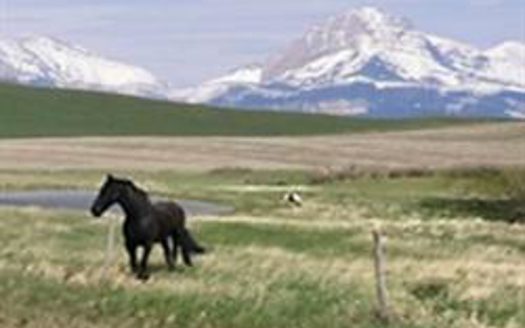 Dupuyer Montana horse real estate listing photo 1