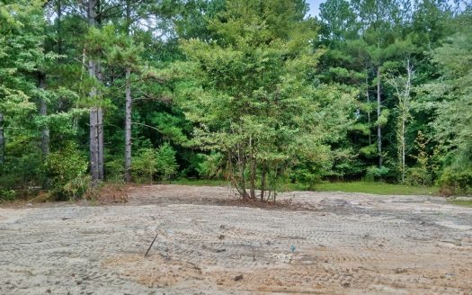 Patrick South Carolina horse real estate listing photo 1