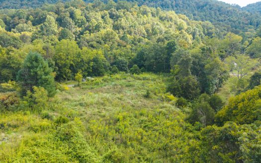 Sneedville Tennessee horse real estate listing photo 1