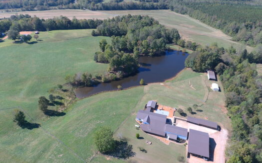 Adamsville Tennessee horse real estate listing photo 1