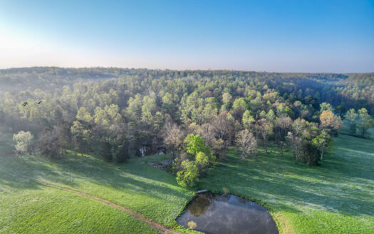 Nunnelly Tennessee horse real estate listing photo 1