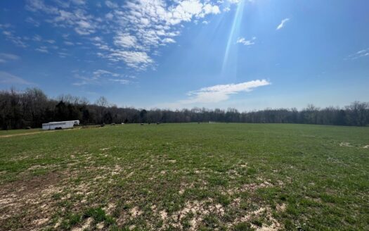 Medina Tennessee horse real estate listing photo 1
