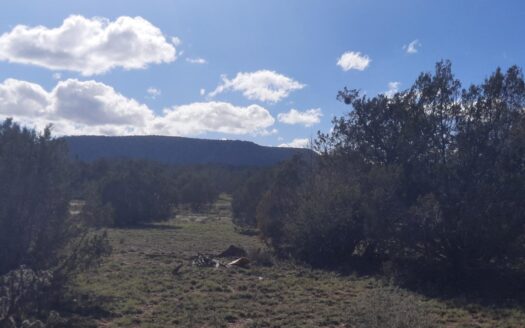 Seligman Arizona horse real estate listing photo 1