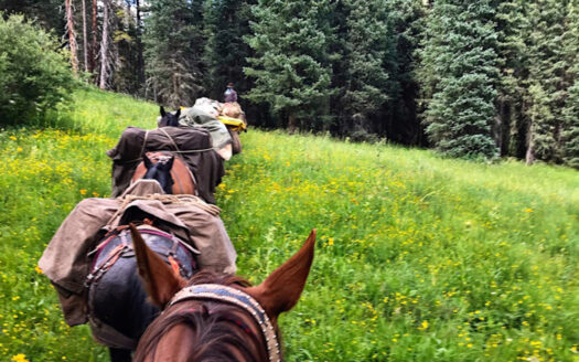 Durango Colorado horse real estate listing photo 1