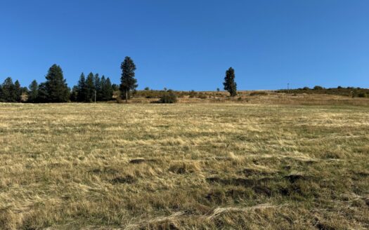 Grangeville Idaho horse real estate listing photo 1