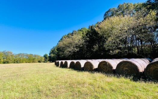 Potts Camp Mississippi horse real estate listing photo 1