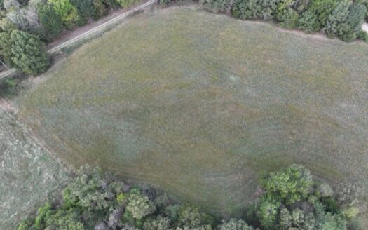 Caulfield Missouri horse real estate listing photo 1