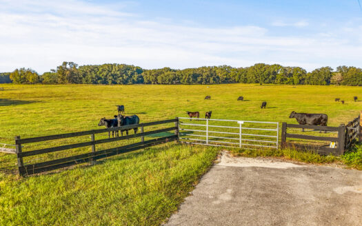 High Springs Florida horse real estate listing photo 1