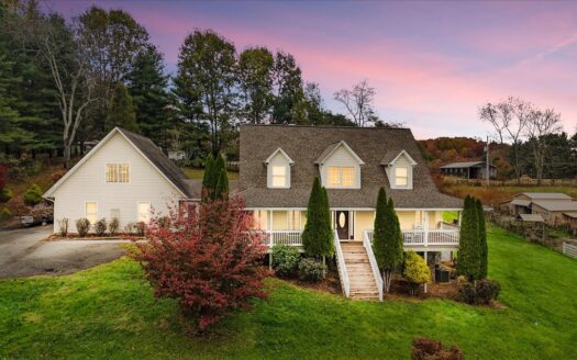 Max Meadows Virginia horse real estate listing photo 1