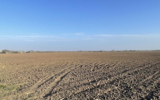 Sinton Texas horse real estate listing photo 1