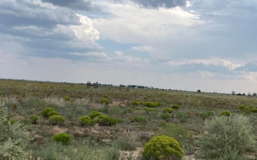 Estancia New Mexico horse real estate listing photo 1