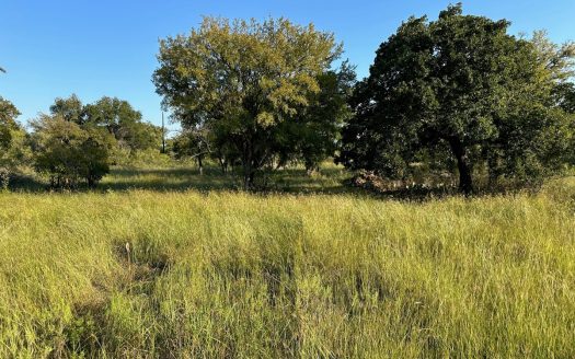 Home Lot 335 in King’s Point Cove Resort Lake Brownwood, TX