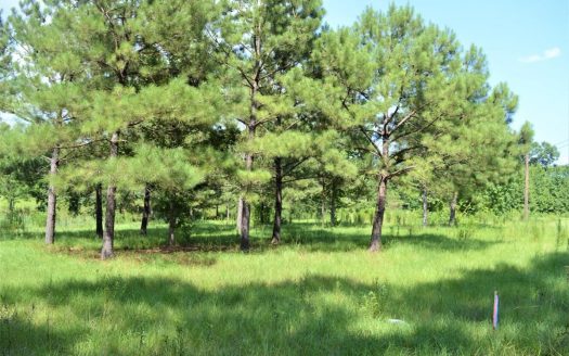 +/-5 Acres for Sale in Fernwood Country Club SW MS