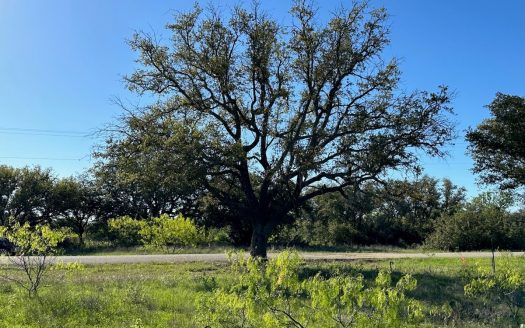 Lakeview Lot 461 at The Hideout Golf Resort Lake Brownwood