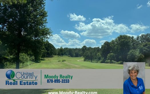 Prime Residential Lot On Turkey Mountain Golf Course