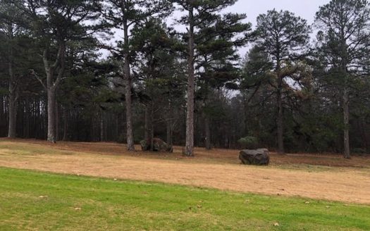 Residential Lot For Sale on the Mountain Ranch Golf Course