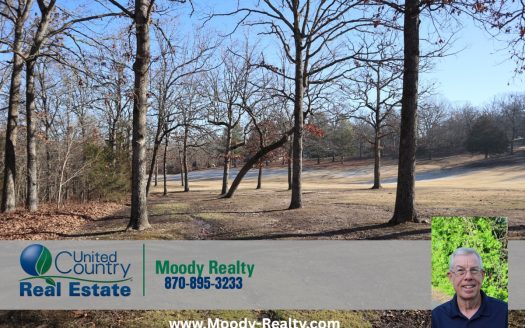 Golf Course Frontage With Building Site Horseshoe Bend Ar