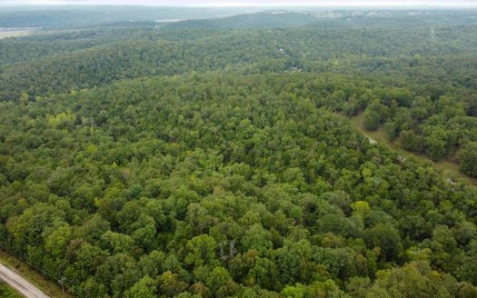 Build Your Dream Home Near Bull Shoals Lake & Golf Course