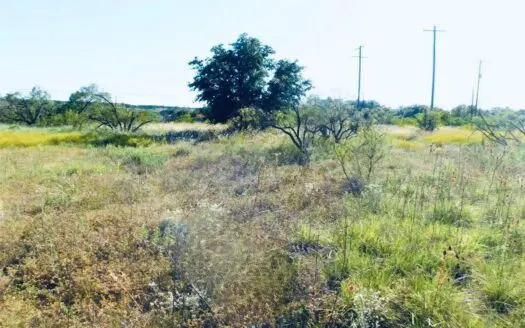 Lots For Sale In Kings Point Cove!