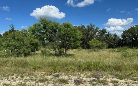 Prime Lot 463 Near Lake Brownwood & The Hideout Golf Club