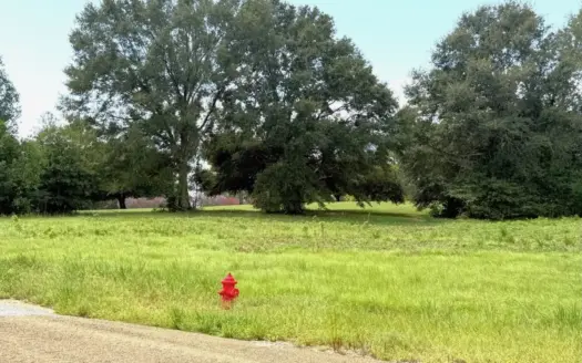 2 Acre Golf Course Lots for Sale Near Fernwood Country Club
