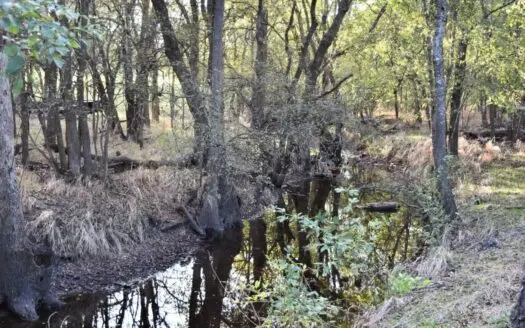 Prairie Hill Texas Limestone County 24 Acres for Sale