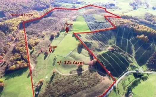 125 Acre Farm in Sugar Grove, Va with Mountain Views