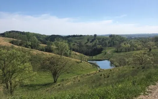 110 Acres Of Mostly Pastureland in Hamblen County for Sale.