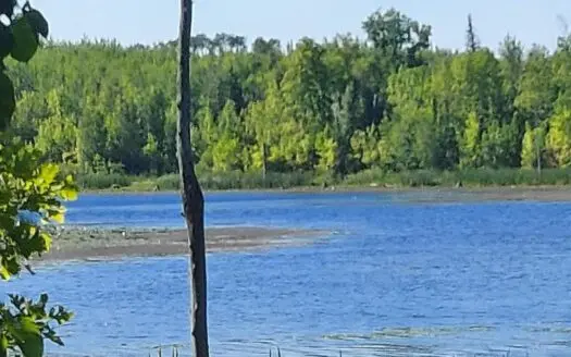 Mn Hunting Recreation Property with Lakeshore for Sale