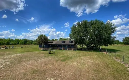 Horse Lover’s Dream