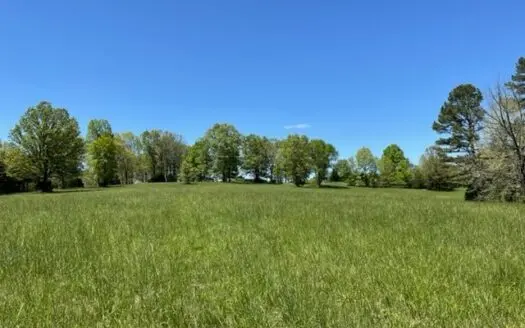 Cattle Ranch / Hunting Land for Sale in Arkansas