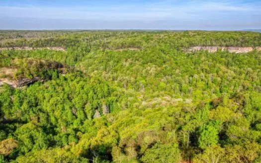 Building Lot for Sale in Jamestown, Tennessee