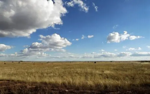 5.91 Acres of Residential Bliss in Moriarty Heights, NM