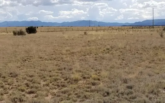 9.97 Acres in Estancia Valley – Mountain Views & Space