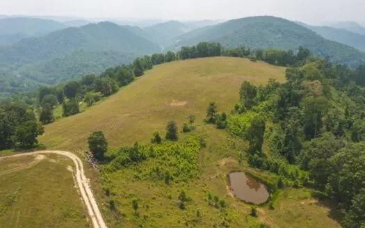 16.91 Unrestricted Acres for sale near Clinch River