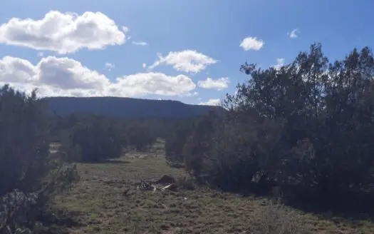 Beautifully treed Northern Arizona off grid property