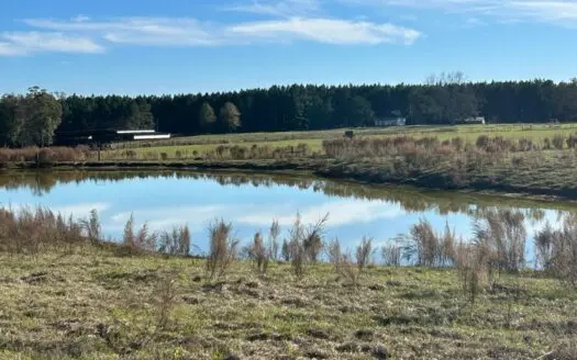 Jones County Country Land – Old Home Place 55