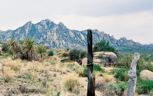 38.8+ acre lot in Saint David AZ