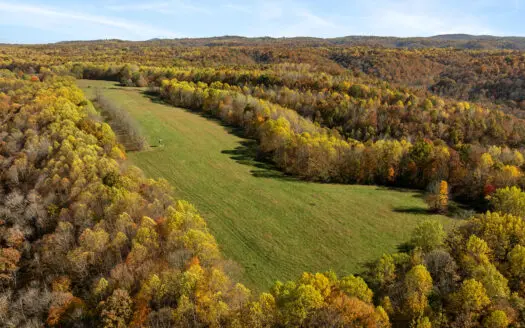 55 Acres of Prime Land – Pasture, Timber, & Endless Potential