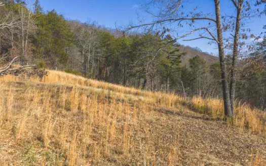 Turnkey Farmstead Brick Ranch Unrestricted Acres Claiborne Co TN