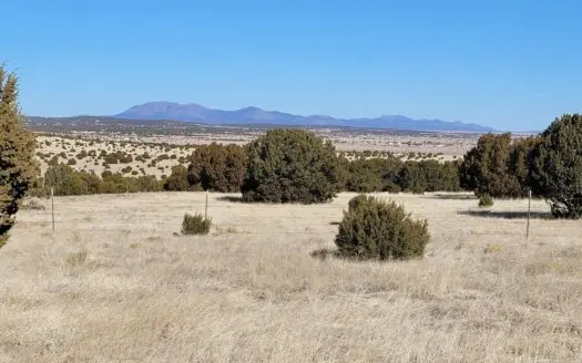 Escape to Peaceful Living in Moriarty, NM: 5.2 Acres